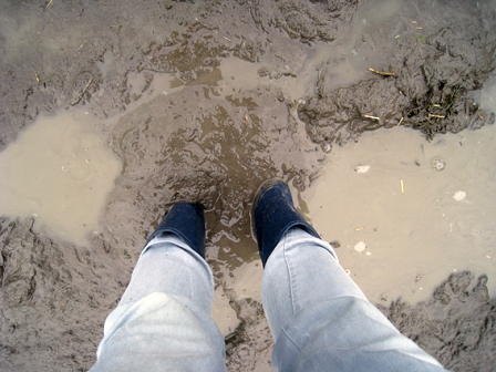 © Lisa Rümmele Gummistiefel im Schlamm